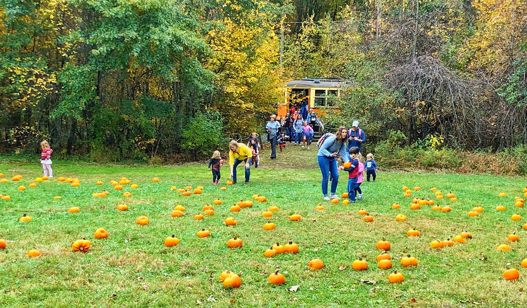 ct trolley pumpkin